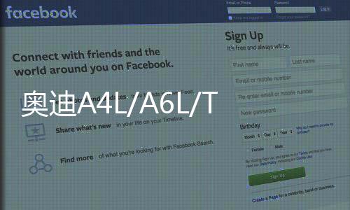 奥迪A4L/A6L/TT/A5/1.8T2.0T/2.8L/2.4L原装电瓶瓦尔塔80AH蓄电池