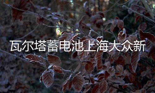 瓦尔塔蓄电池上海大众新桑塔纳途安凌渡途观帕萨特原装60AH电瓶