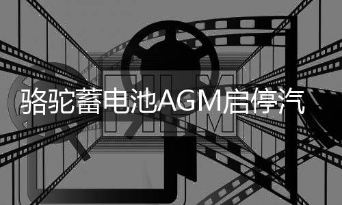 骆驼蓄电池AGM启停汽车电瓶60ah适用于长安传祺GS4奔驰原装专用