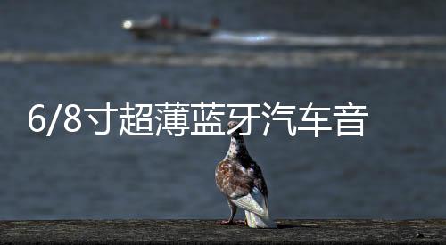 6/8寸超薄蓝牙汽车音响12V24V货车重低音大功率改装车载低音炮
