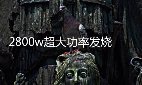 2800w超大功率发烧级炸街重低音纯低音车载无源双音圈低音炮功放